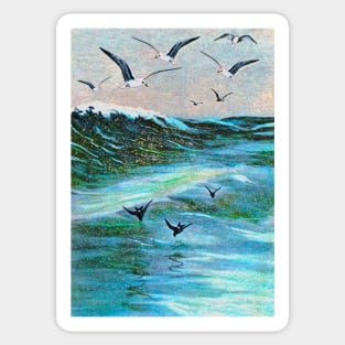 white gulls with swallows Sticker